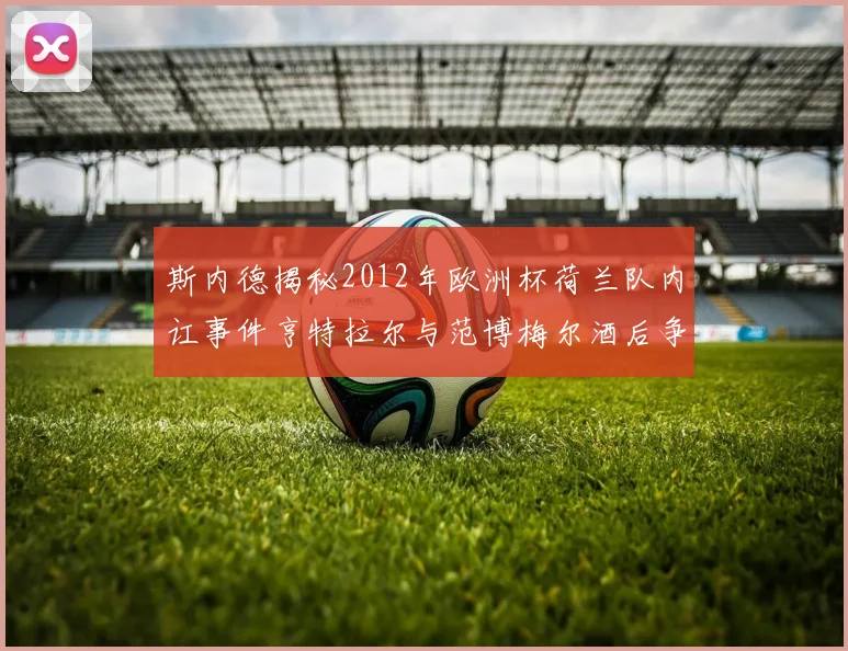 斯内德揭秘2012年欧洲杯荷兰队内讧事件亨特拉尔与范博梅尔酒后争执内幕